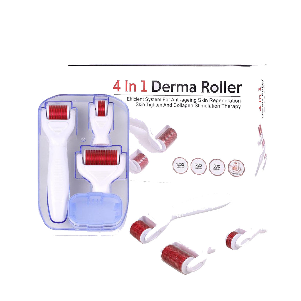 Image of the 4 in 1 Derma Roller set, showcasing different needle sizes and a small stand for sterilization and storage.